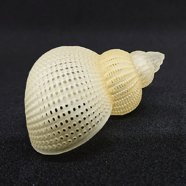 光造形での成形品